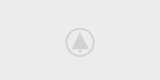 wood-gallery-placeholder-5 wood-gallery-placeholder-5
